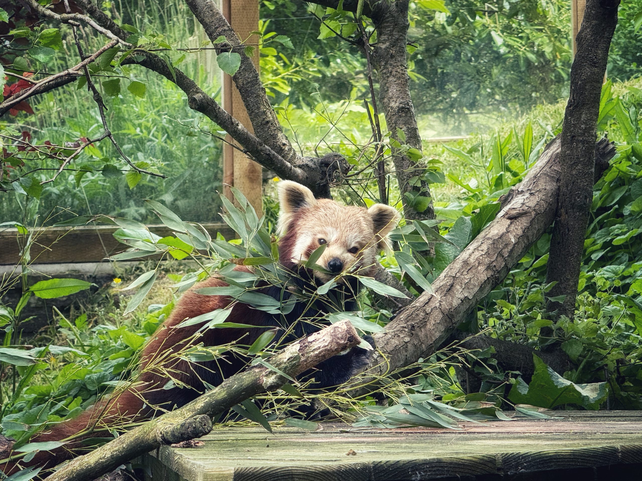 Newquay Zoo